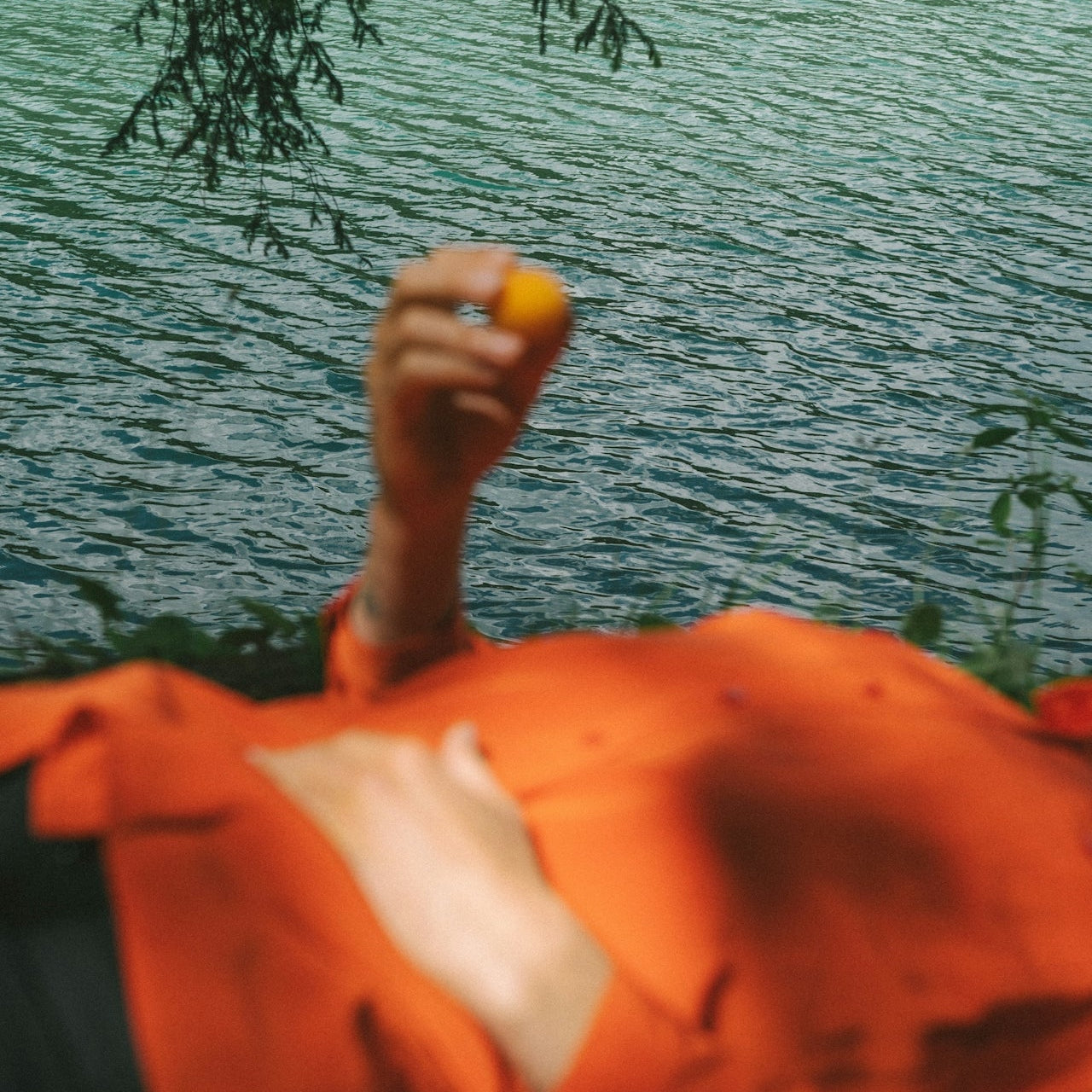 Gut Myths & Facts with Dr. Stephanie Ray, ND