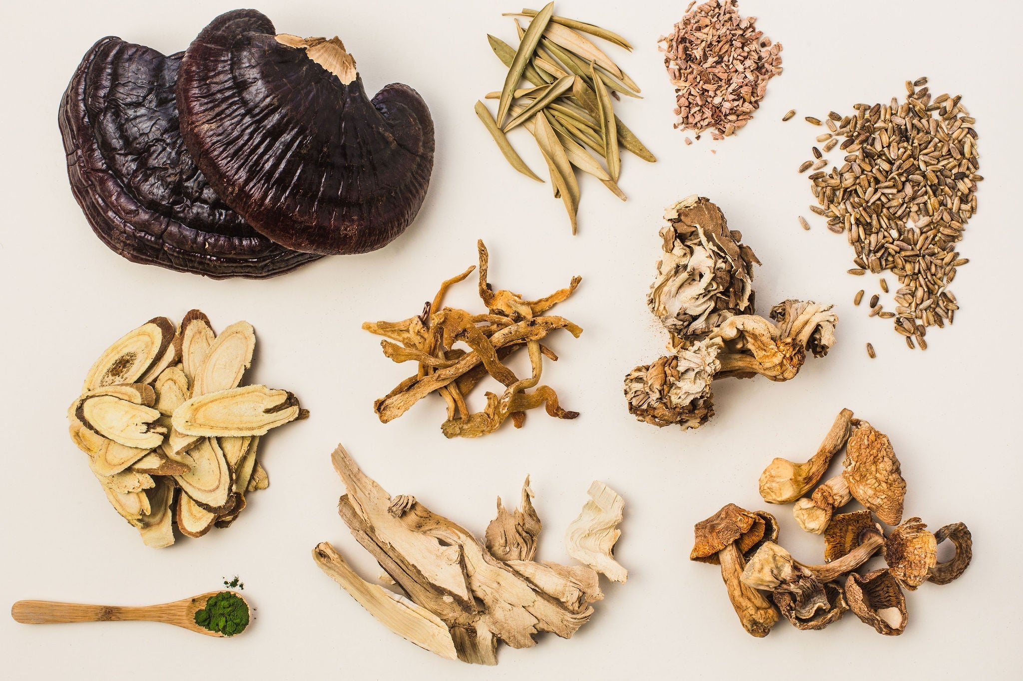 What’s Immune Modulation? Why is it Important? How does it work?