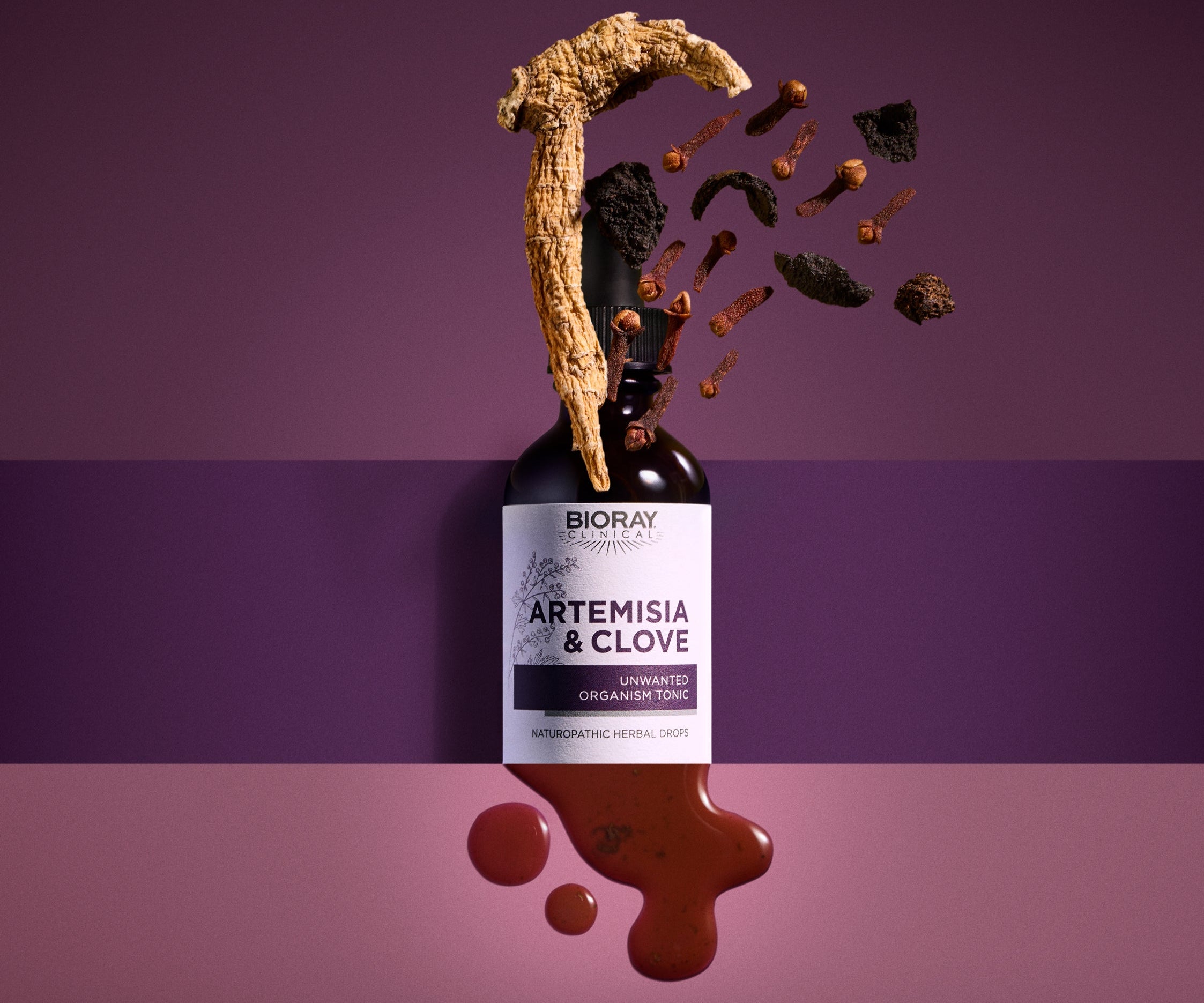 Parasite Removal Case Study:  Explosive Anger, Mood Changes, and Artemisia & Clove®
