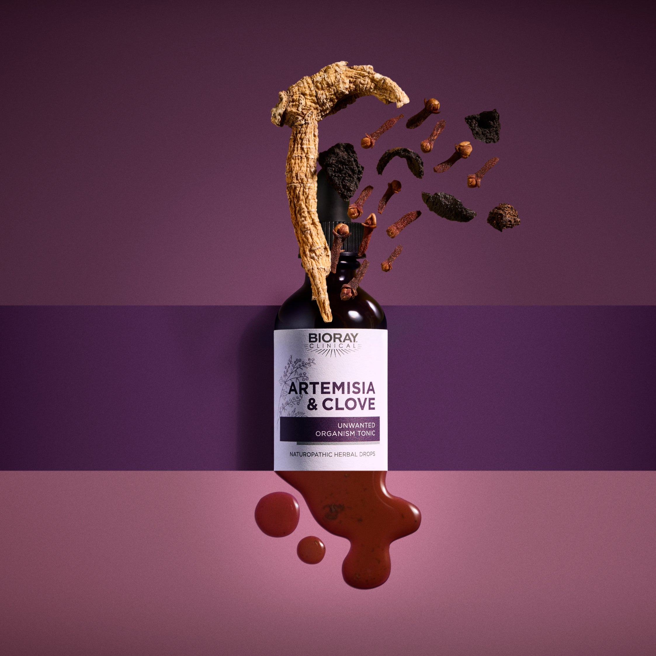 Parasite Removal Case Study:  Explosive Anger, Mood Changes, and Artemisia & Clove®