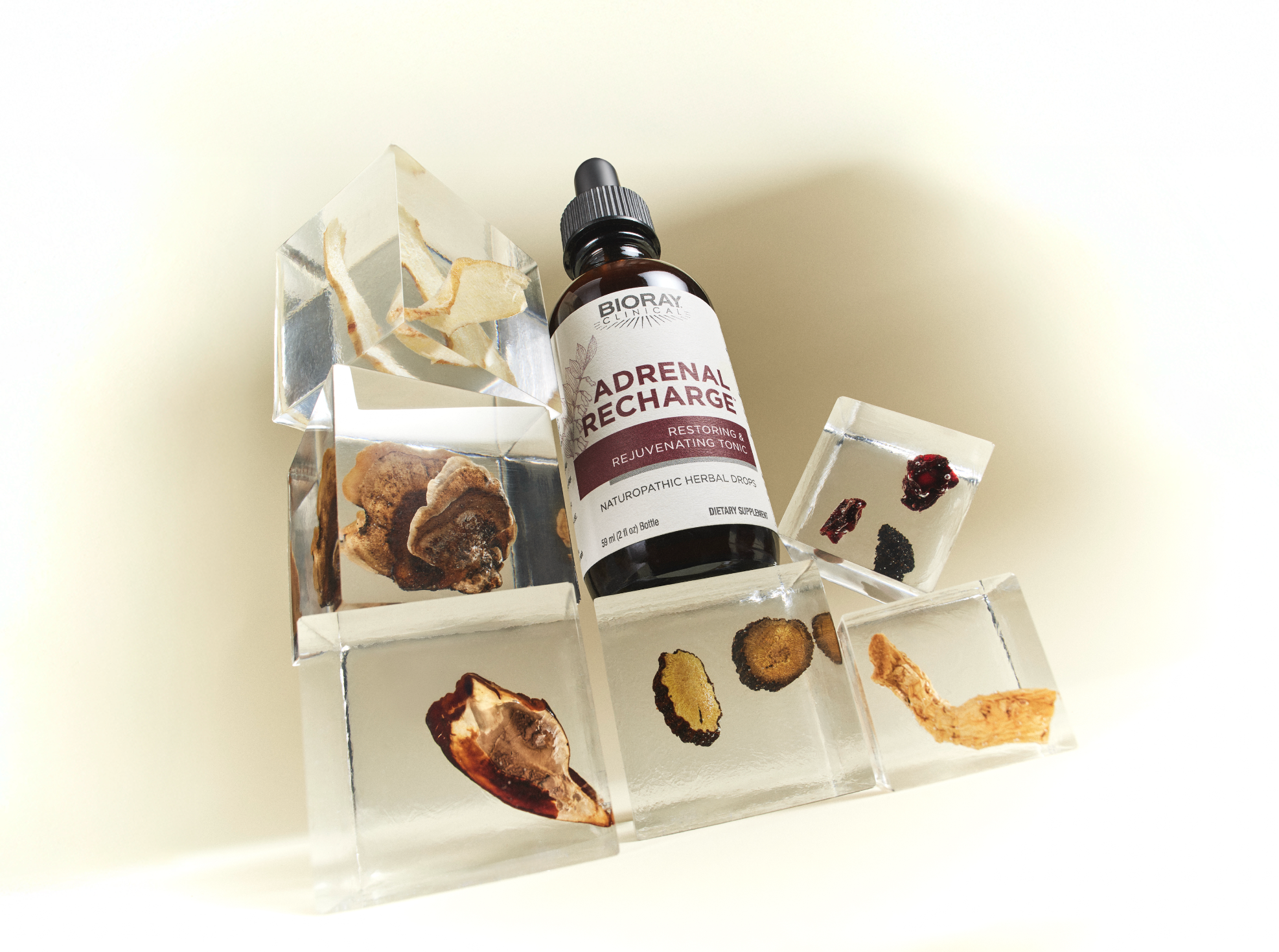 Supporting the Body’s Natural Rhythms: Beating Jet Lag with Adrenal Recharge®