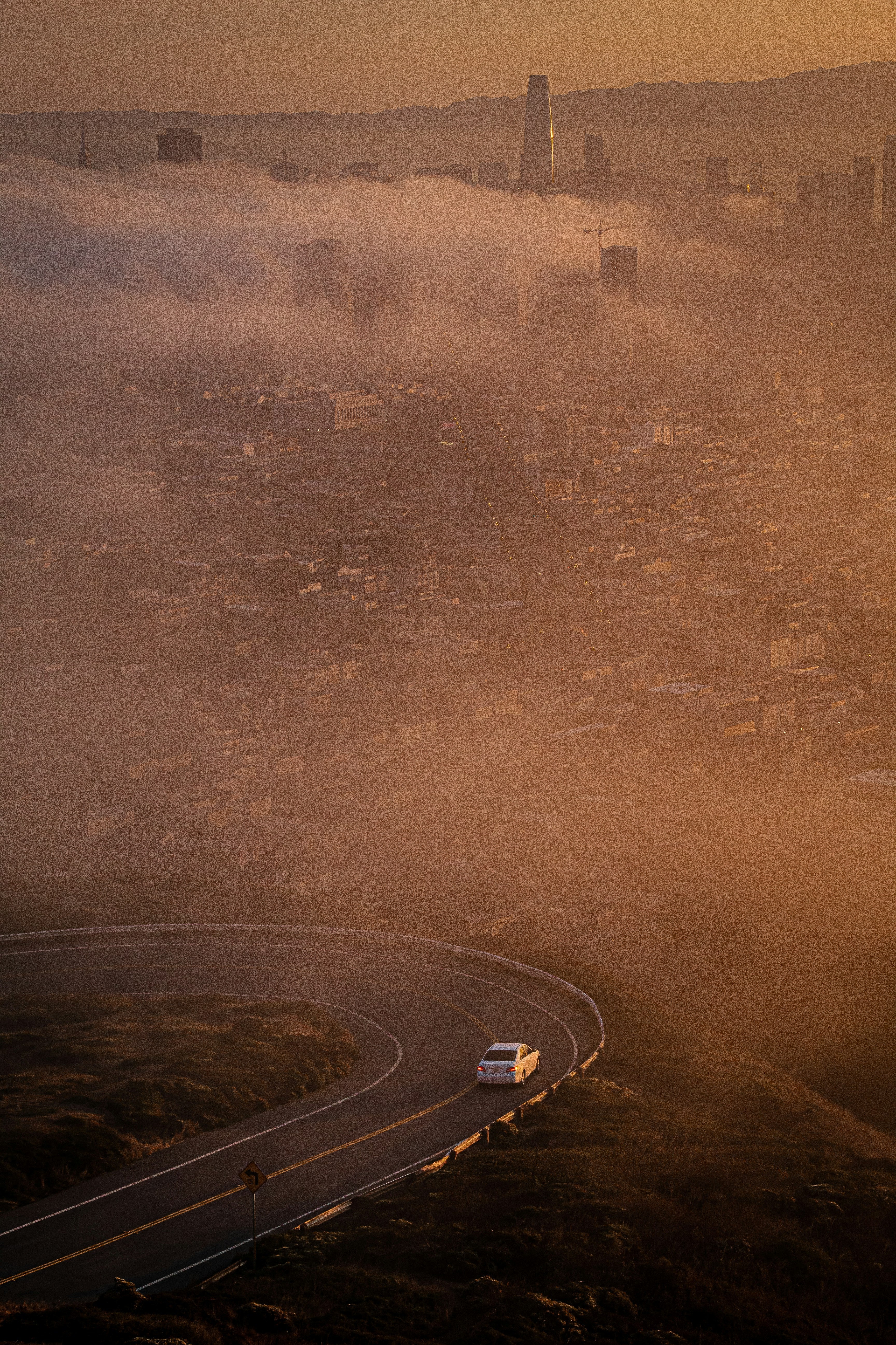 How Air Pollution Affects Children’s Focus, Lungs & Detoxification