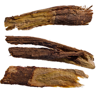 Astragalus Root