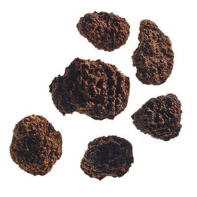 Black Walnut Hulls
