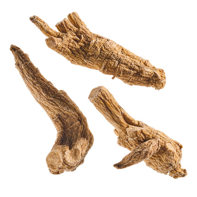 American Ginseng