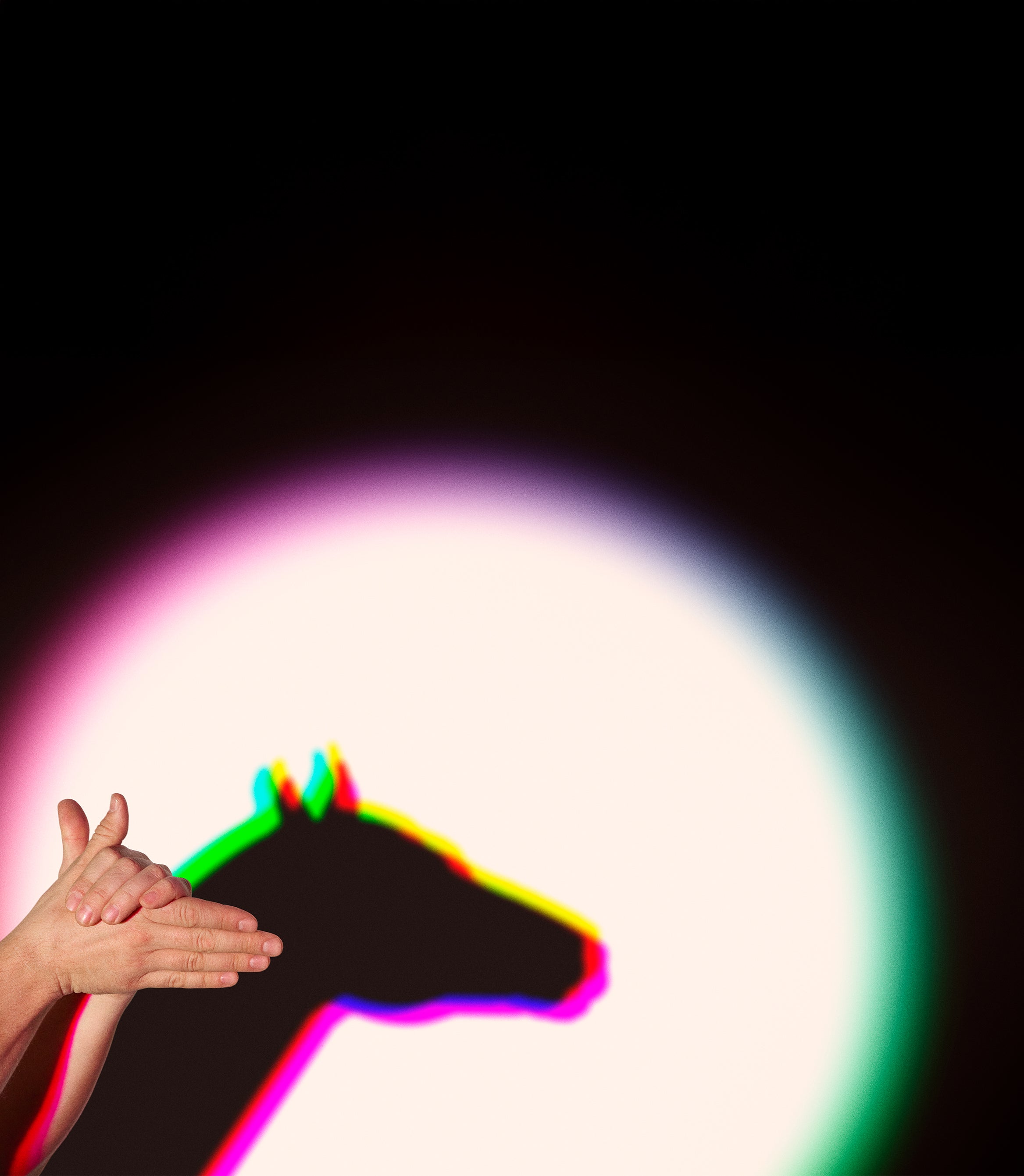 Year of the Fire Horse 2026 + Fertility