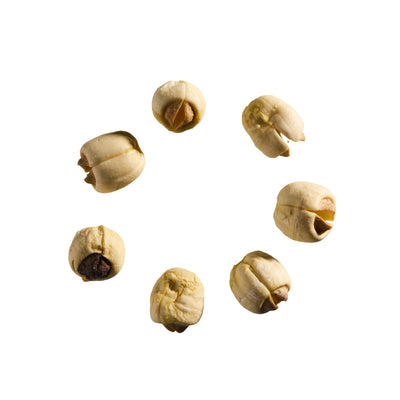 Louts Seed