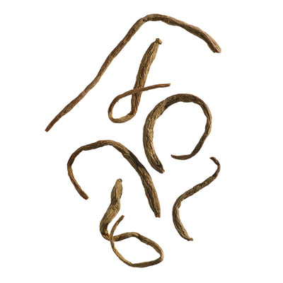 Pseudostellaria Root