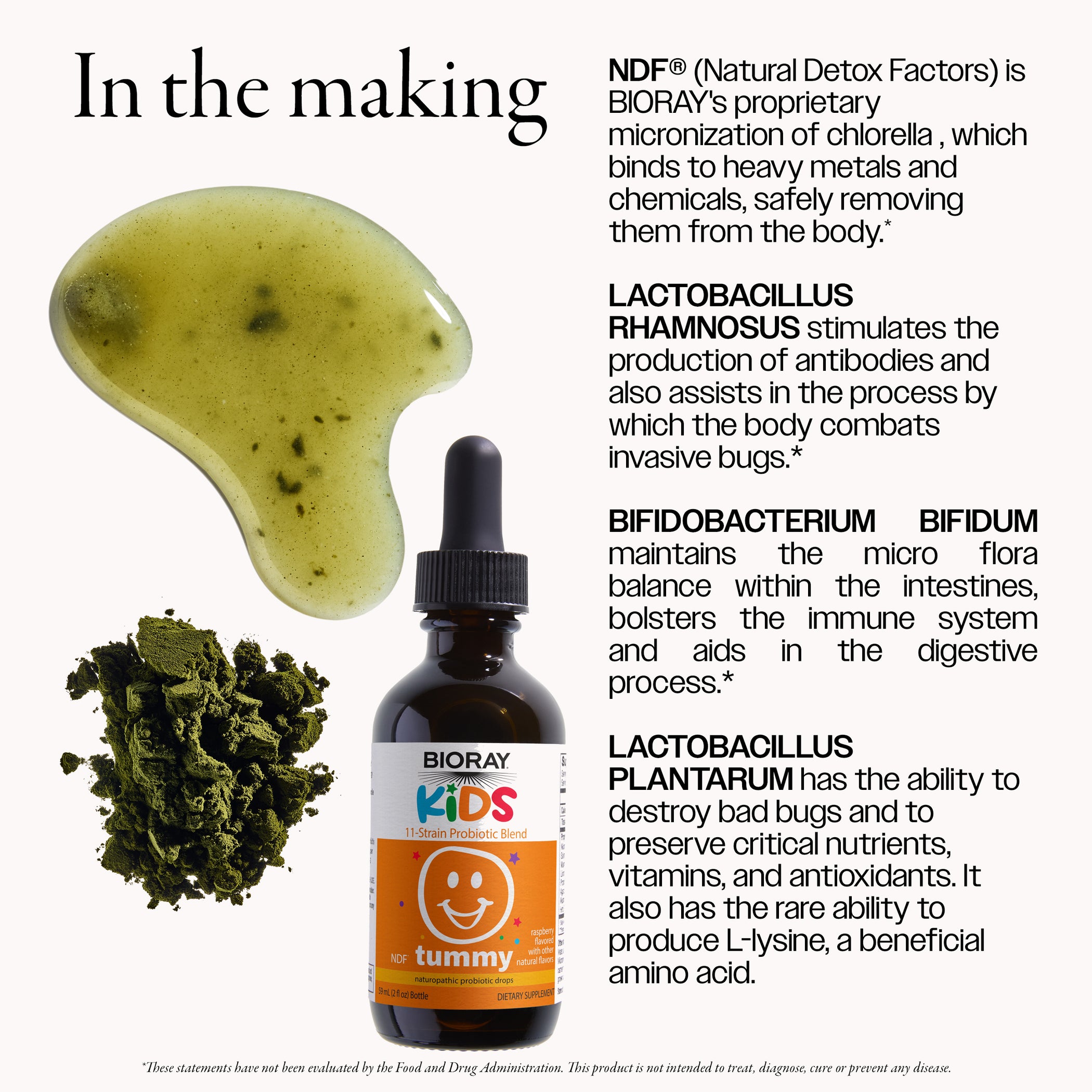 NDF Tummy® – Bioray