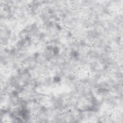 11-Strain Probiotic Lysates