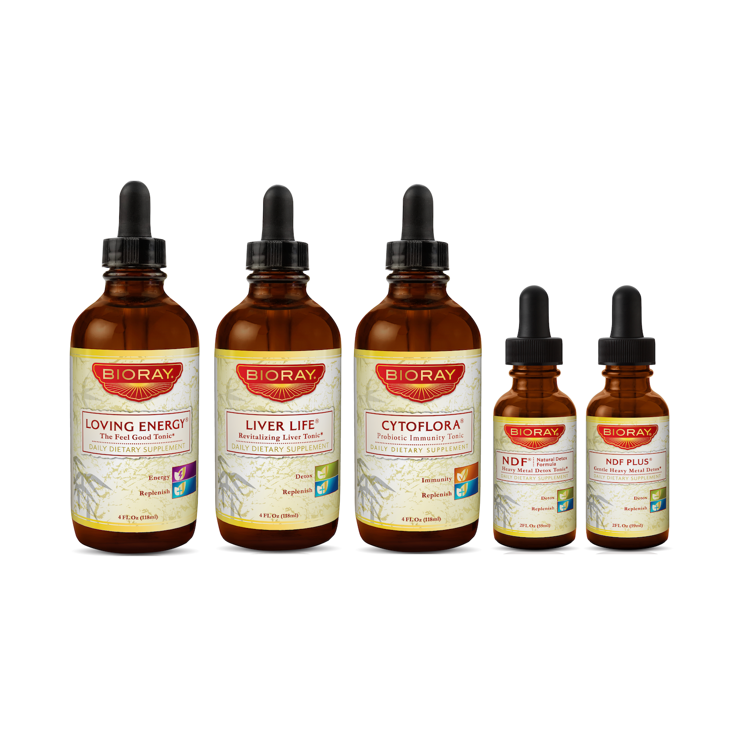 Heavy Metal Detox Kit® with CytoFlora® (Medium) – Bioray